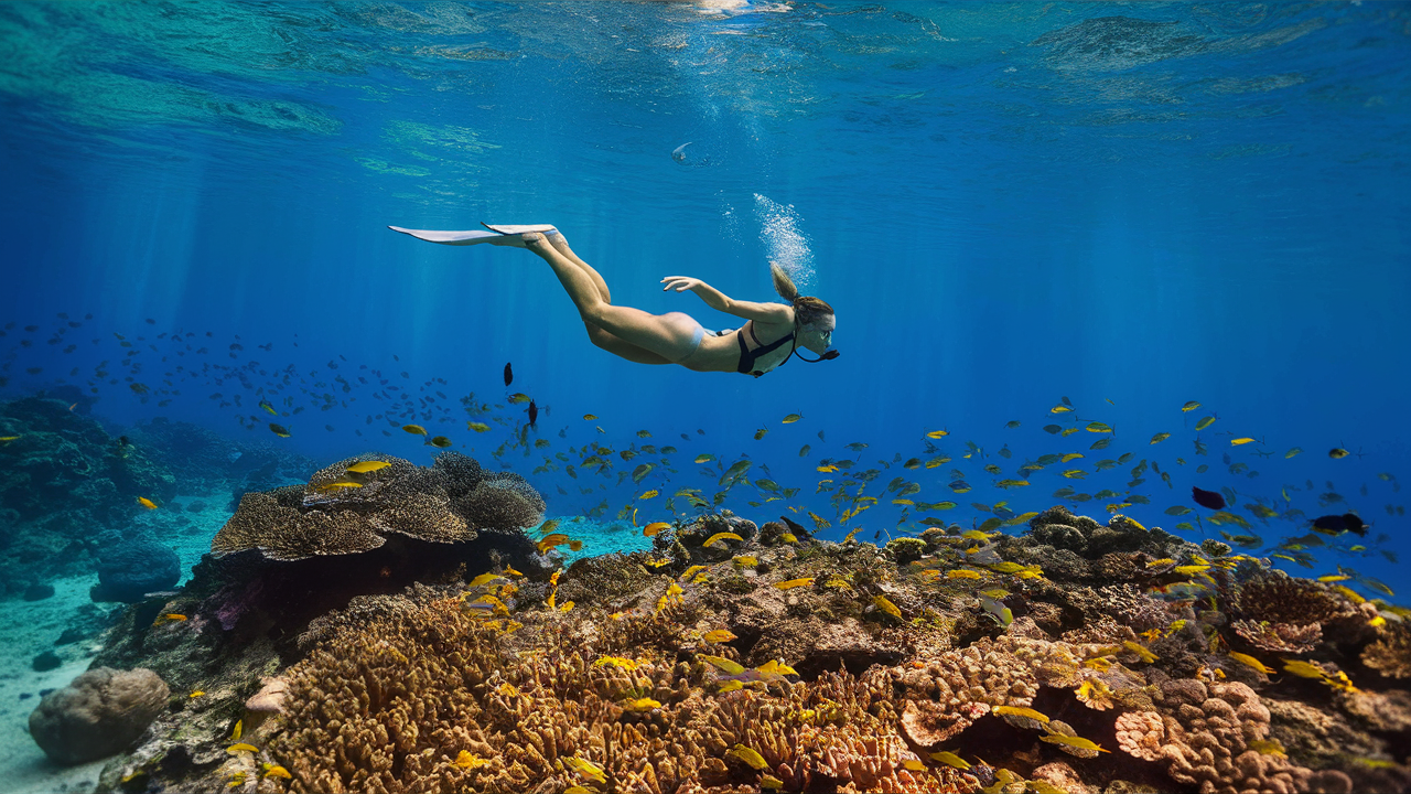 Aktivitas di Bali yang Wajib Dicoba untuk Pengalaman Liburan Tak Terlupakan