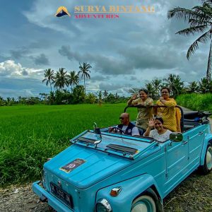 Surya Safari